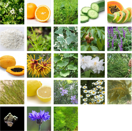53種の植物成分